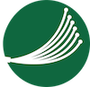 PDFiber Logo